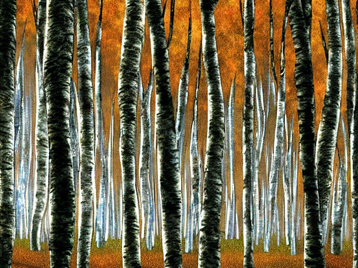 #AI创作实验室#梦中桦树林