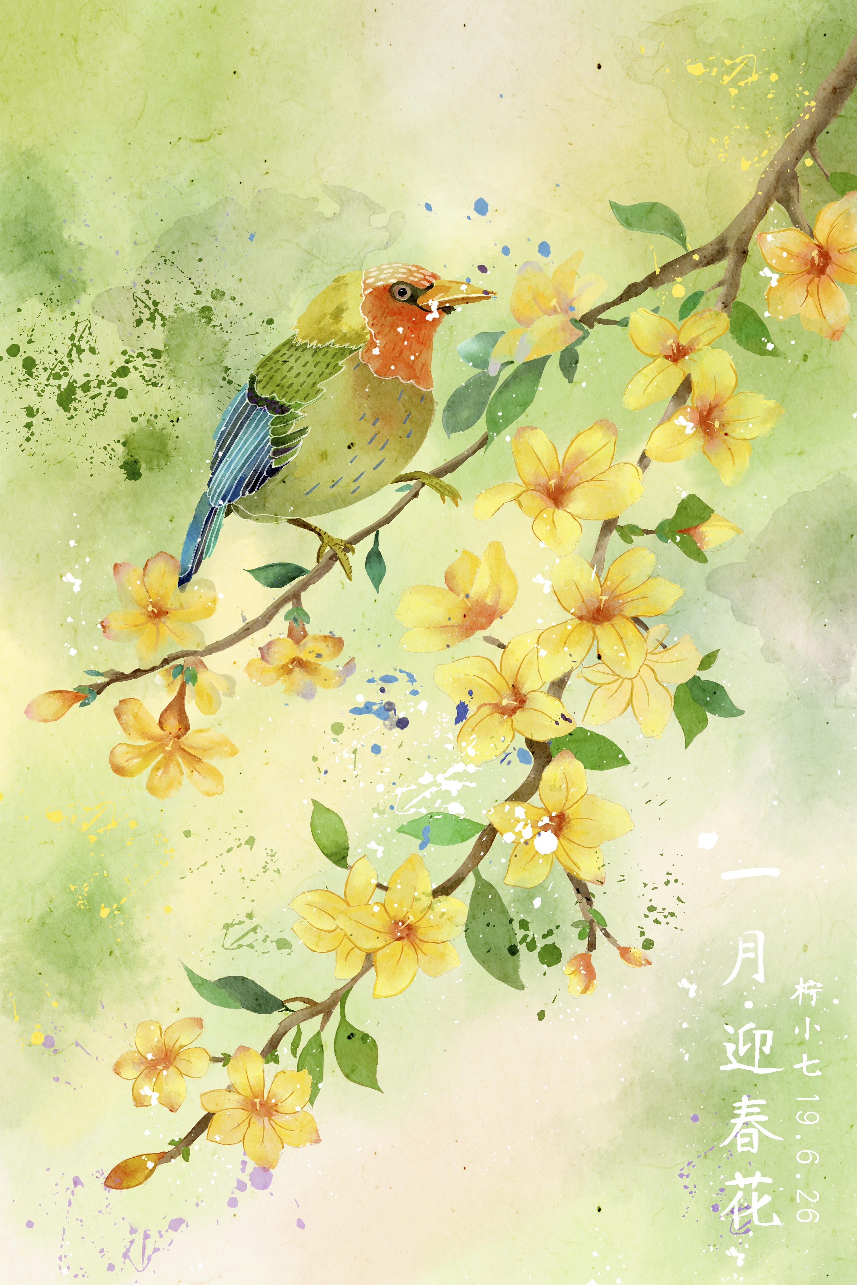 水彩花鸟十二月花信一至六月