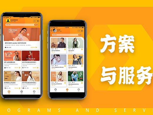 方案