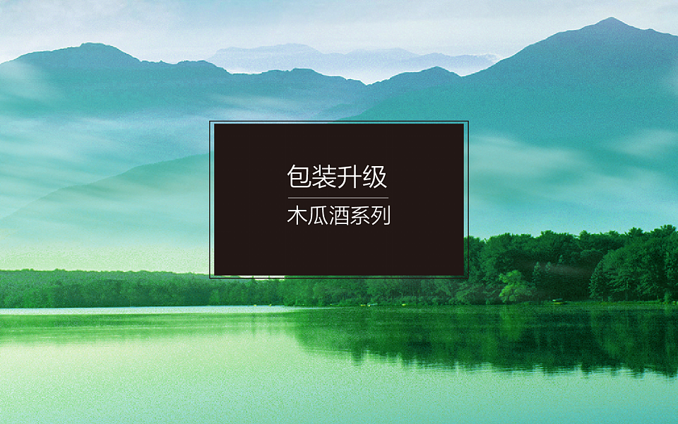 木瓜酒包装