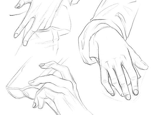 基础训练——手部