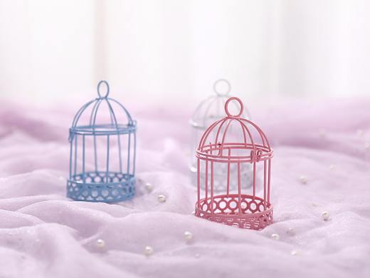 仿真鸟笼迷你拍照道具 少女心拍照道具 ins风鸟笼道具