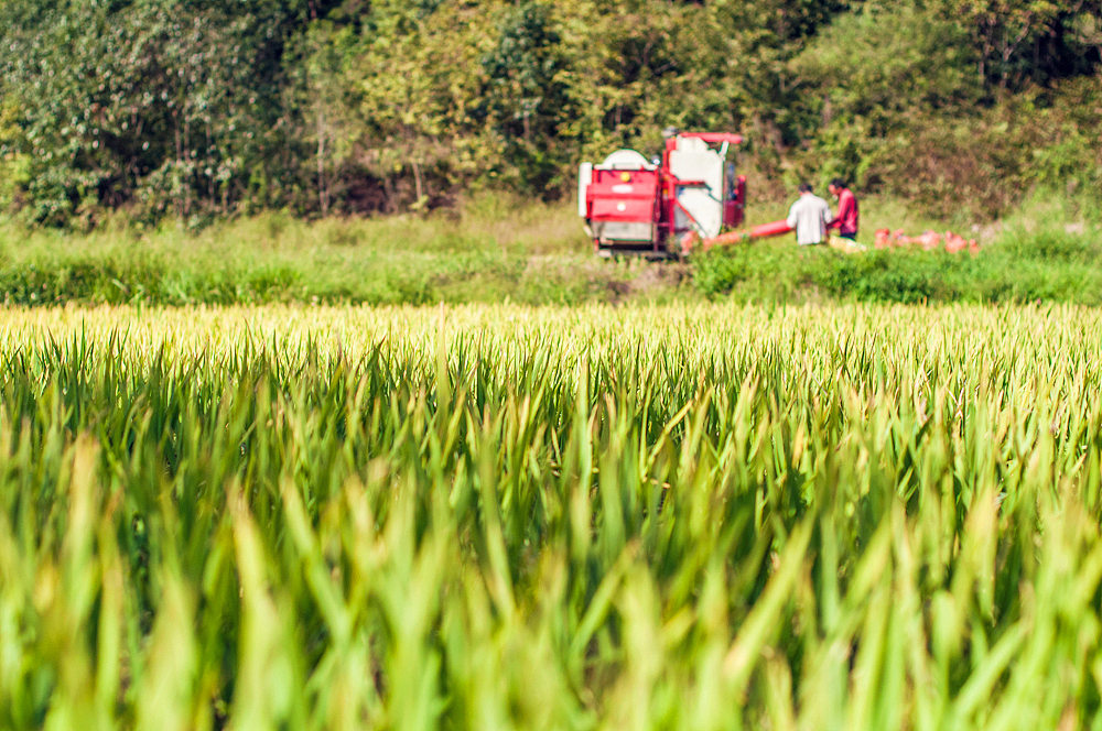 2015.09.30-10.06 故湘纪