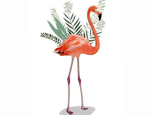 火烈鸟 系统图标（个人主页-ZMzI5MTIxMTY=） - APP界面 - 站酷设计师yvonne婷原创素材 - 站酷ZCOOL