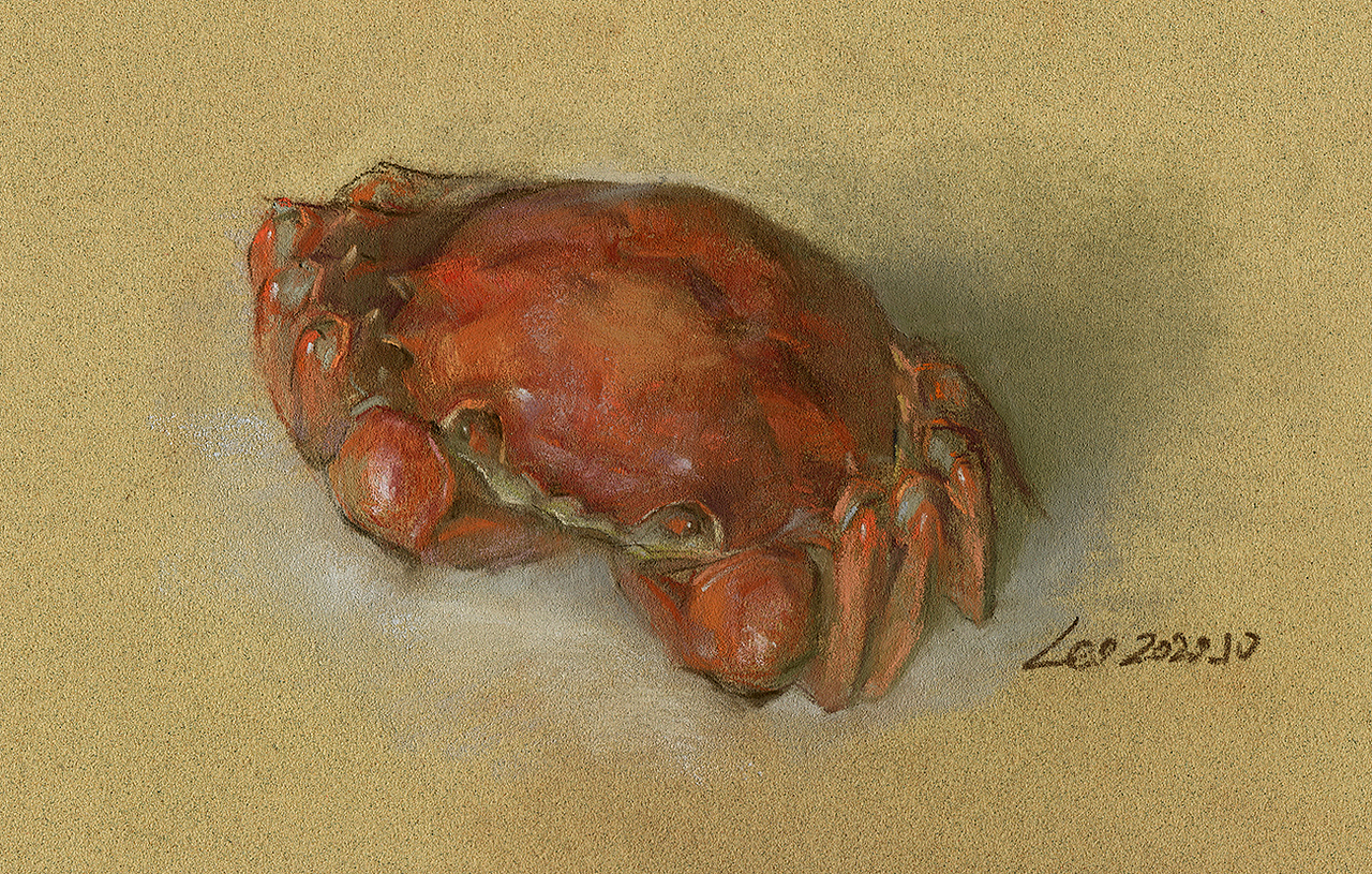 2020年何石磊作品合集