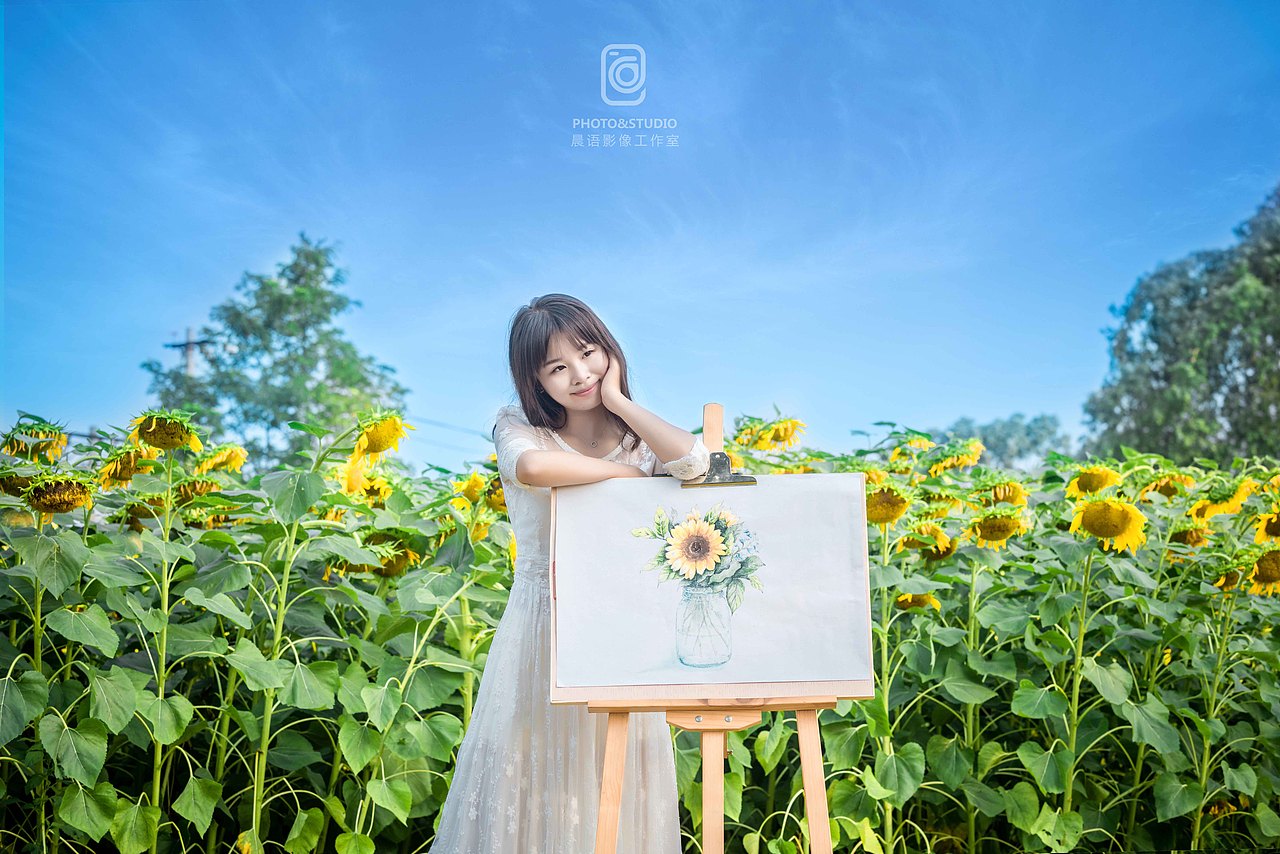 《向日葵的约定》