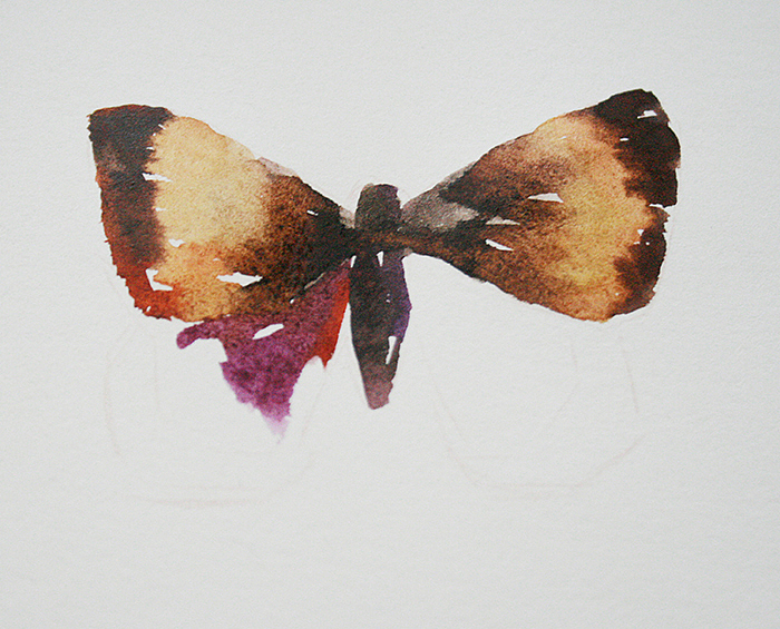 #candy田水彩教程# 金蝴蝶是怎样产生的~