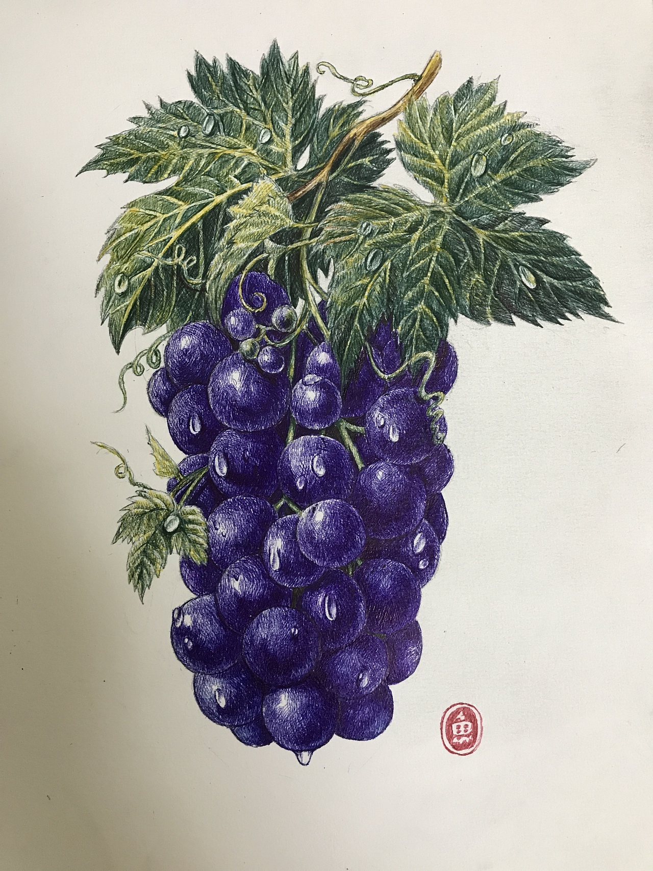      彩色圆珠笔绘画