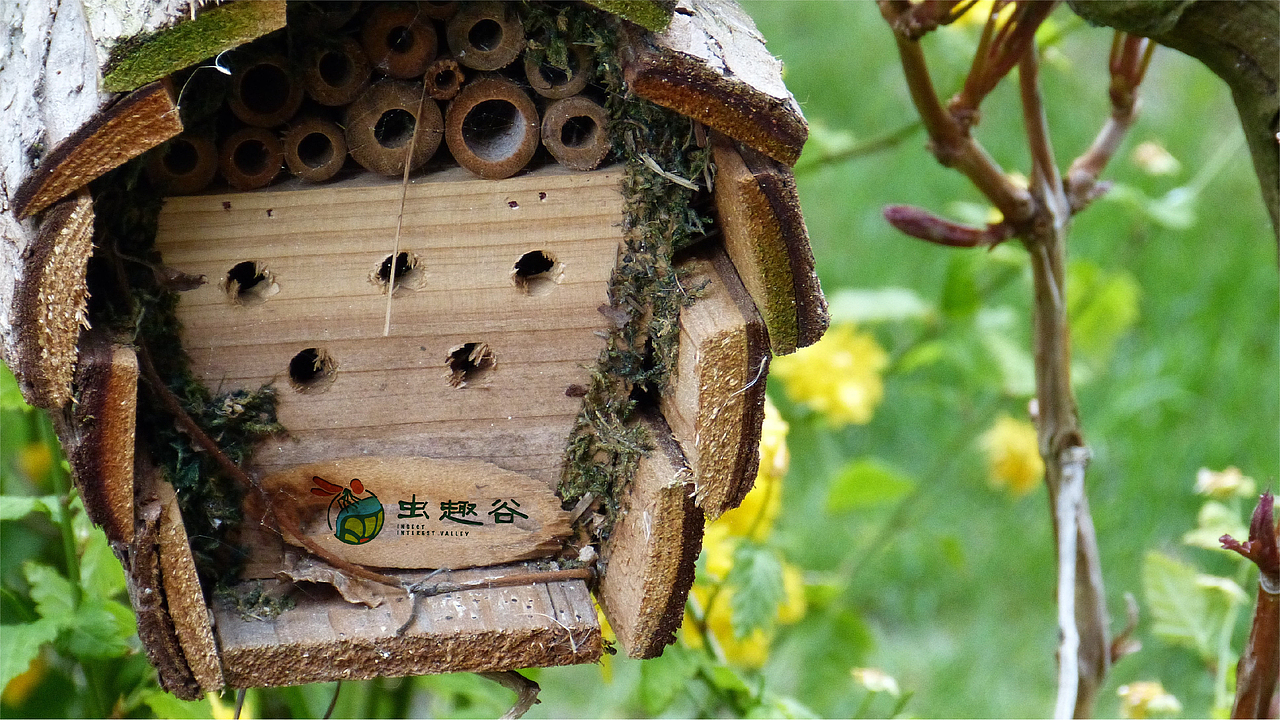 虫趣谷-景区logo设计（图ZMTM3OTYzMzEy） - 品牌 - 站酷设计师Cloth布原创素材 - 站酷ZCOOL