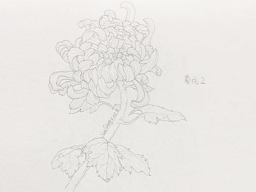 临摹练习（个人主页-ZMjgwOTk4NzY=） - 艺术插画 - 站酷设计师zhanku186原创素材 - 站酷ZCOOL