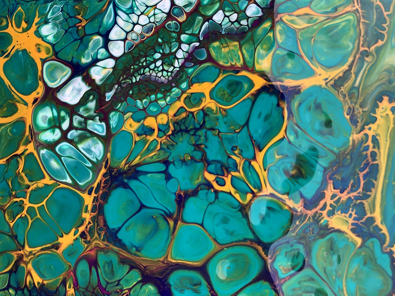 流体画习作|纯艺术|绘画|我叫吴菠菜_原创作品-站酷(zcool)