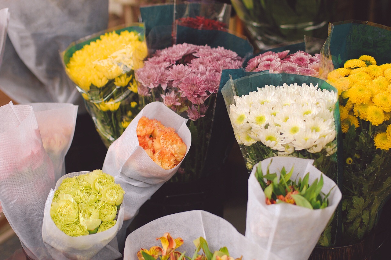 花鸟市场没有鸟