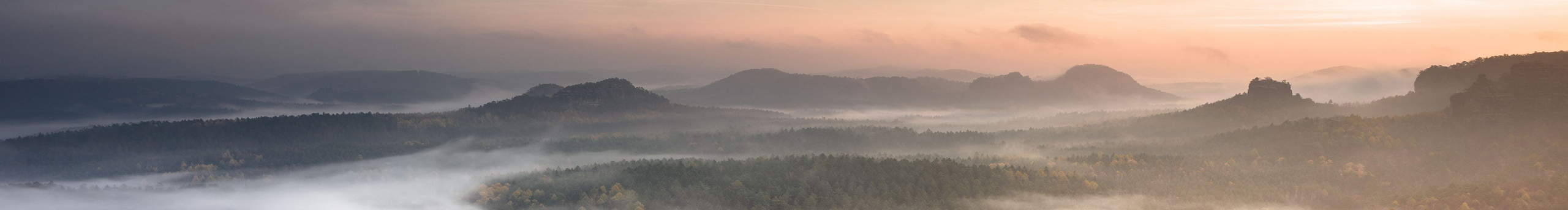 小安子_yy的个人主页（封面预览） - 主页封面设置 - 站酷设计师小安子_yy原创素材 - 站酷ZCOOL