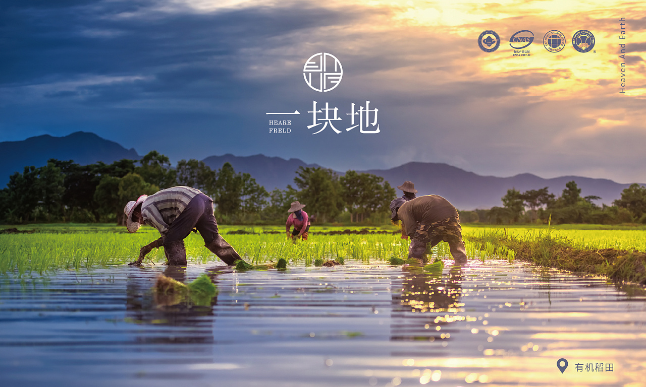 一块地-品牌设计