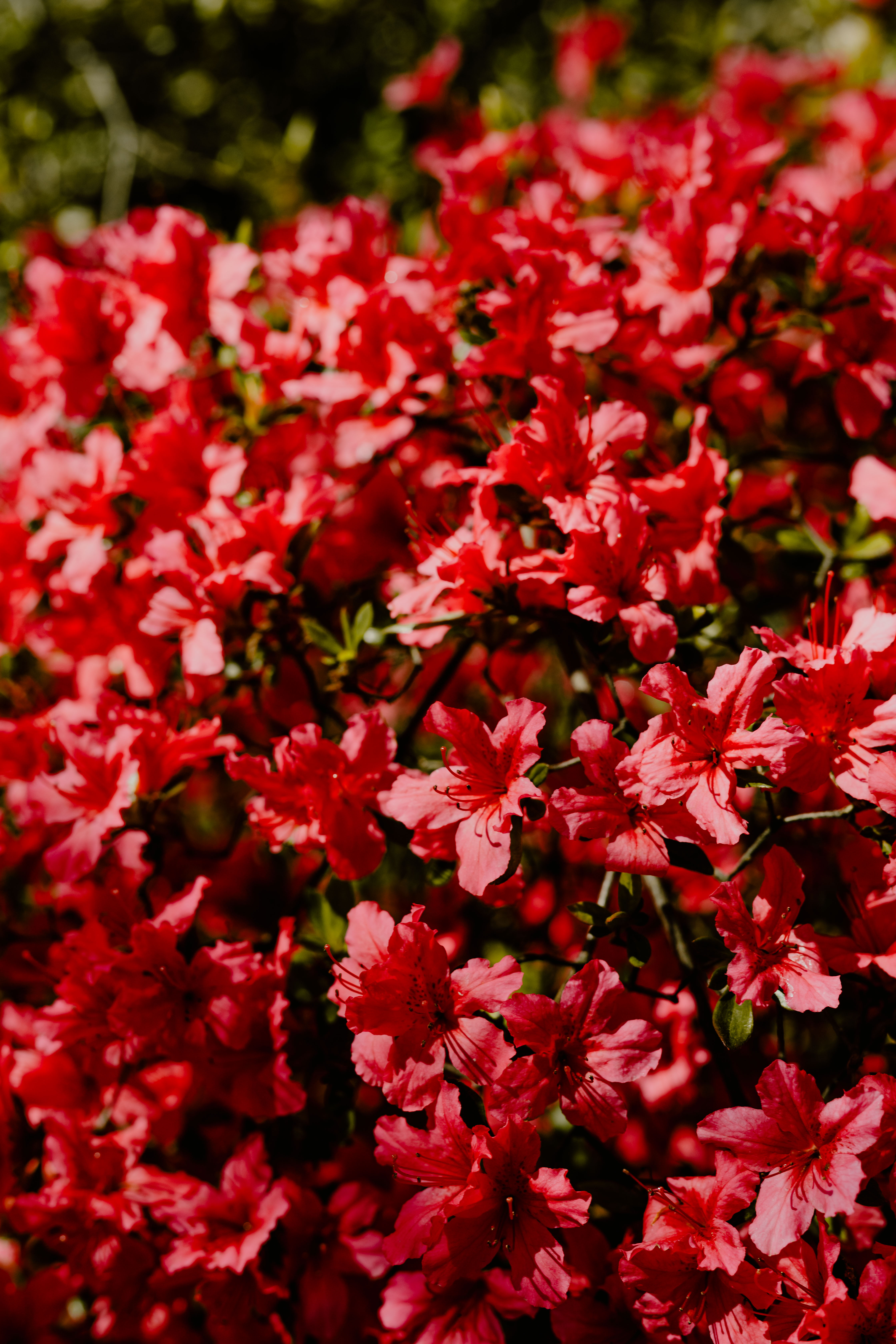 浩钧灯饰设计的个人主页（封面预览） - 主页封面设置 - 站酷设计师浩钧灯饰设计原创素材 - 站酷ZCOOL
