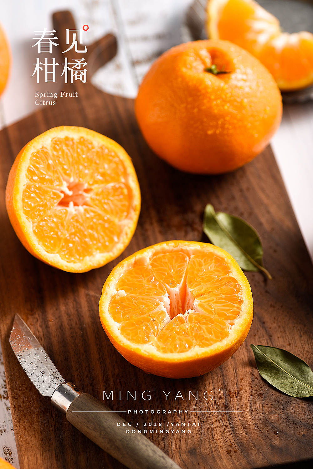 柑橘水果拍摄