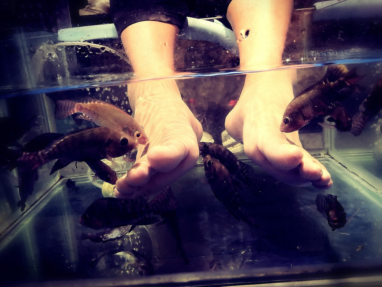 camera Raw 稍微处理一下。