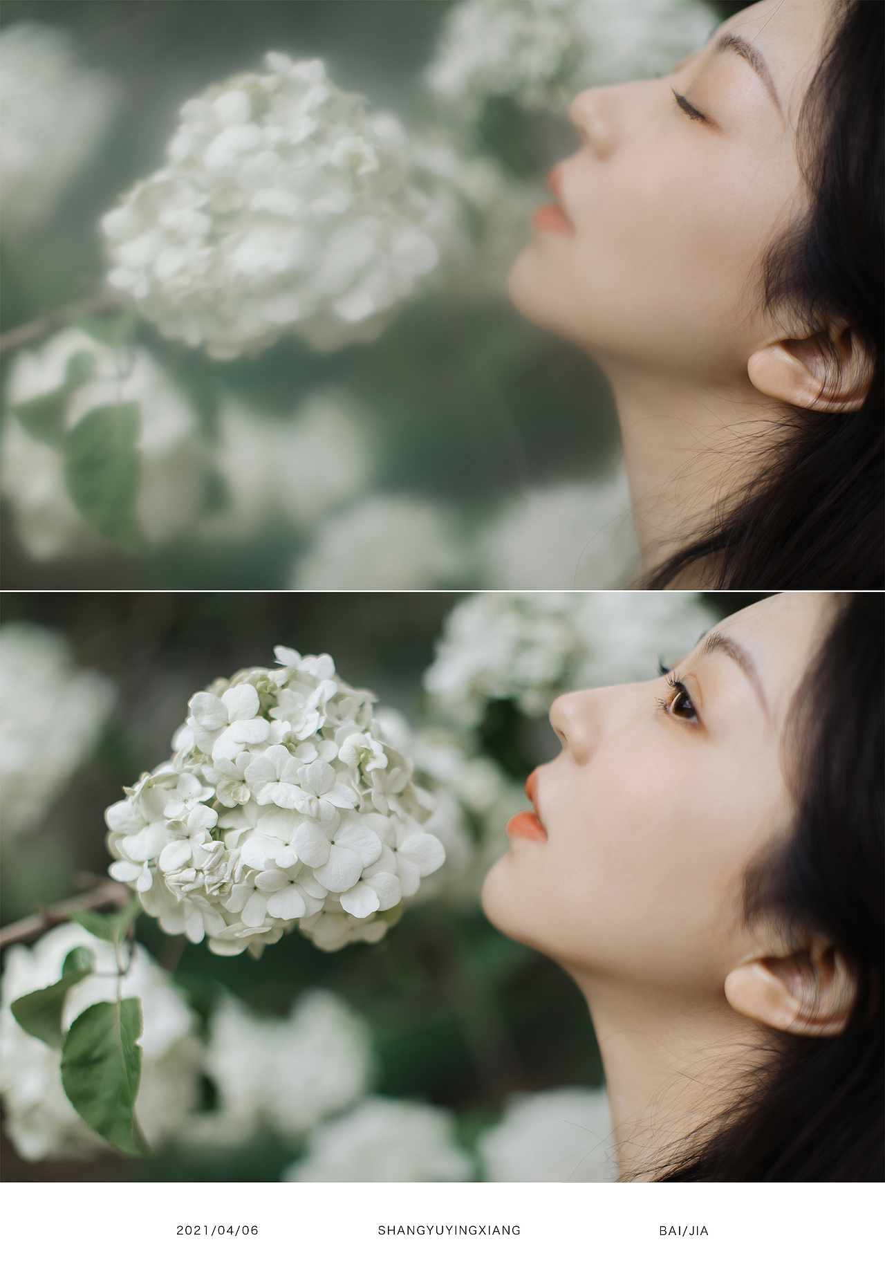 木绣球（图ZMjUxMDg1ODY0） - 人像摄影 - 站酷设计师baiyang421原创素材 - 站酷ZCOOL