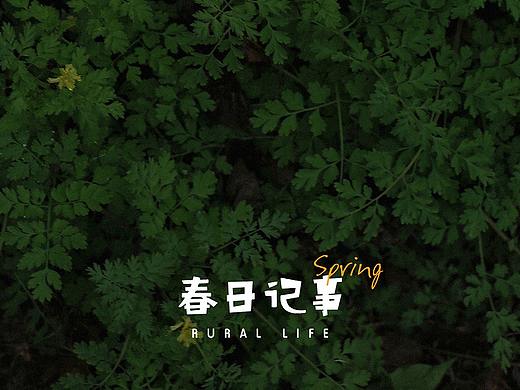 春日记事 | 浙江小山村