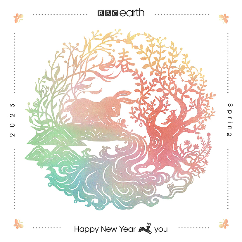 ｜Happy New Year 兔 You | BBC earth 2023·贺春｜（图ZMzI4MzI2ODcy） - 海报 - 站酷设计师012px原创素材 - 站酷ZCOOL