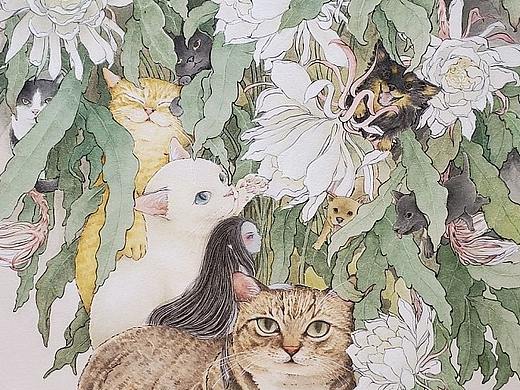 猫幺二的世界|昙花梦境地