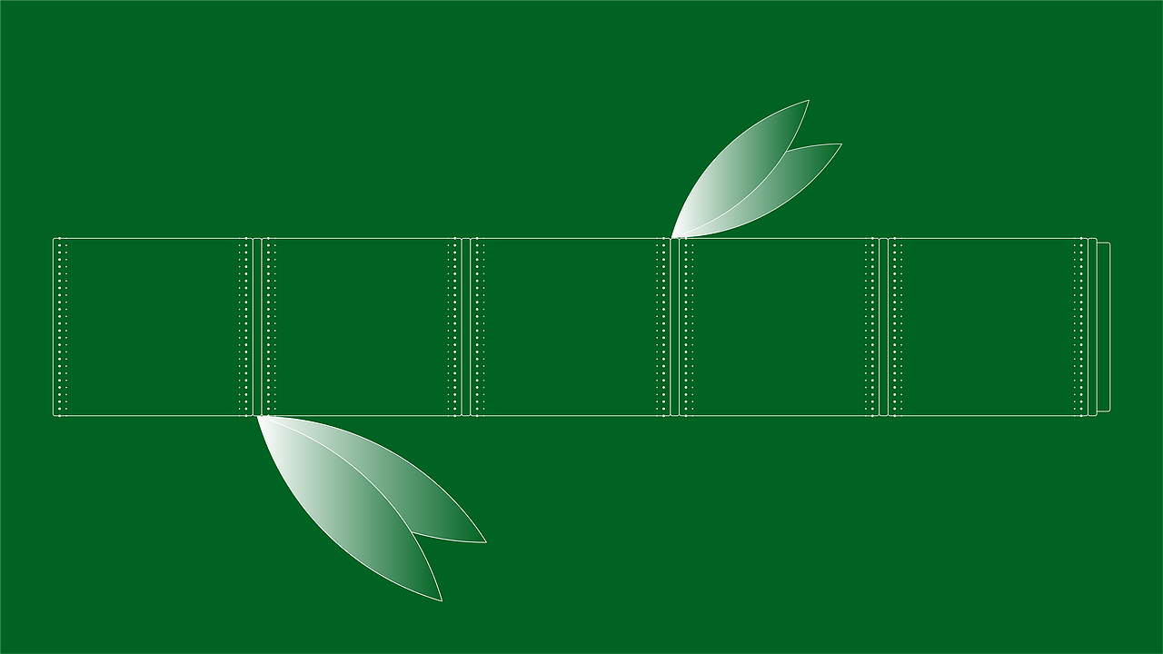 乐信端午礼盒设计方案