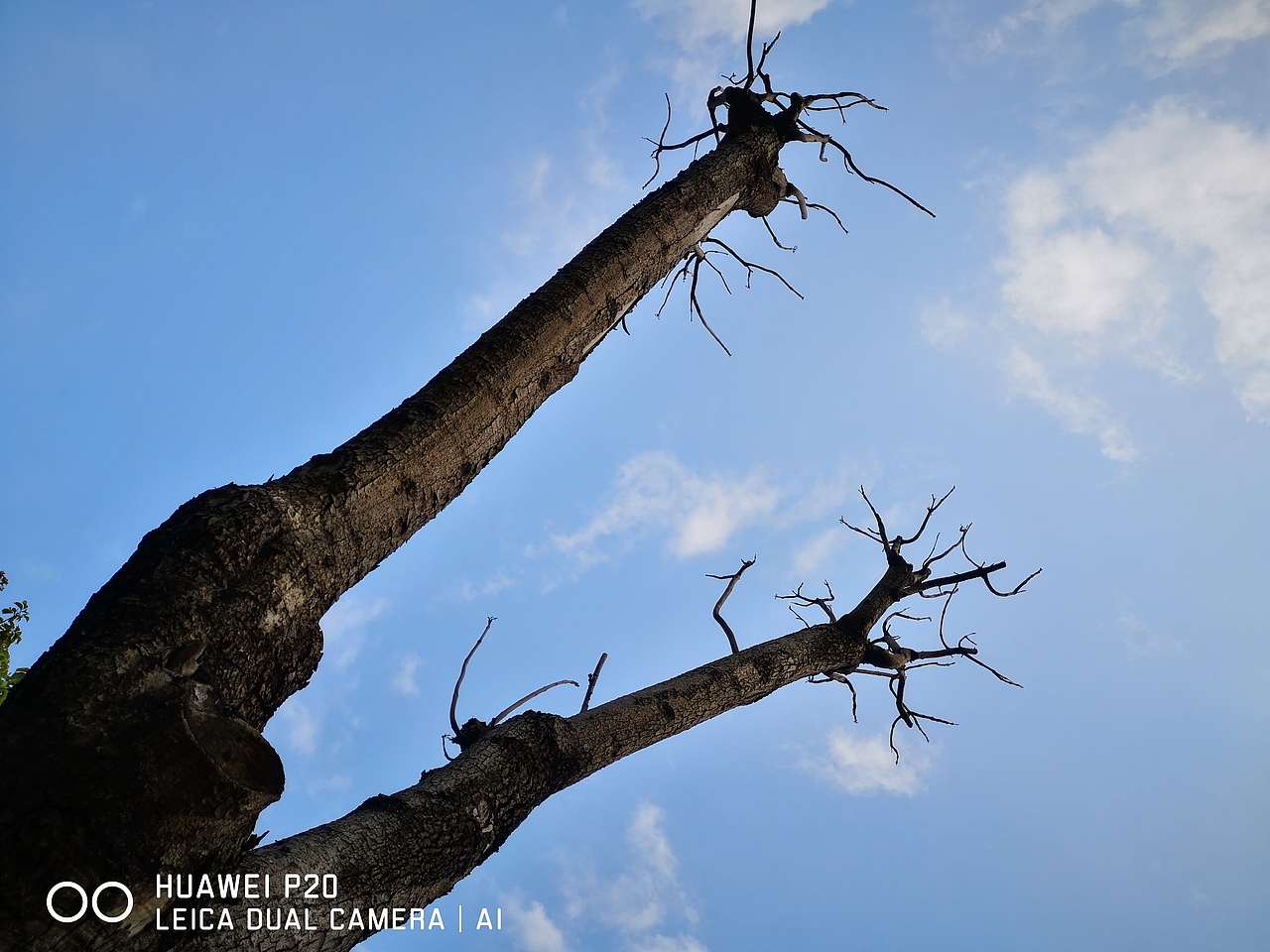 仰望天空（图ZMjY0MDE0NzMy） - 风光摄影 - 站酷设计师多缤设计原创素材 - 站酷ZCOOL