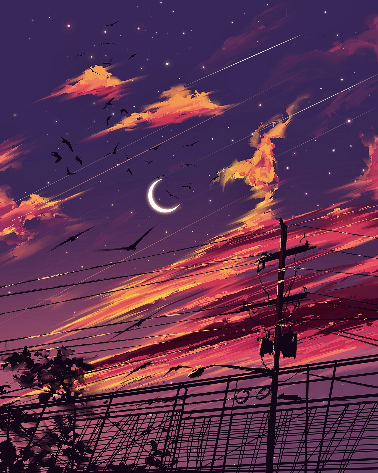 第一期直播画粉丝图小结