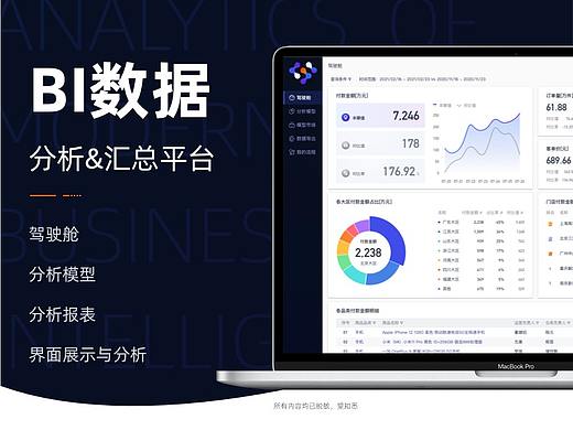 BI数据分析&汇总平台