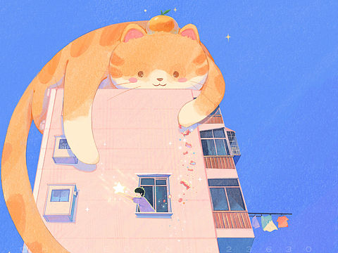 喜欢星星的橘猫