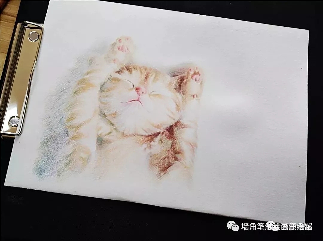 【彩铅教程】吃饱就睡的小萌猫，好想撸（图ZMjAyMjI5Nzc2） - 绘画 - 站酷设计师墙角笔触原创素材 - 站酷ZCOOL