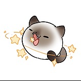 catin猫罐头的头像