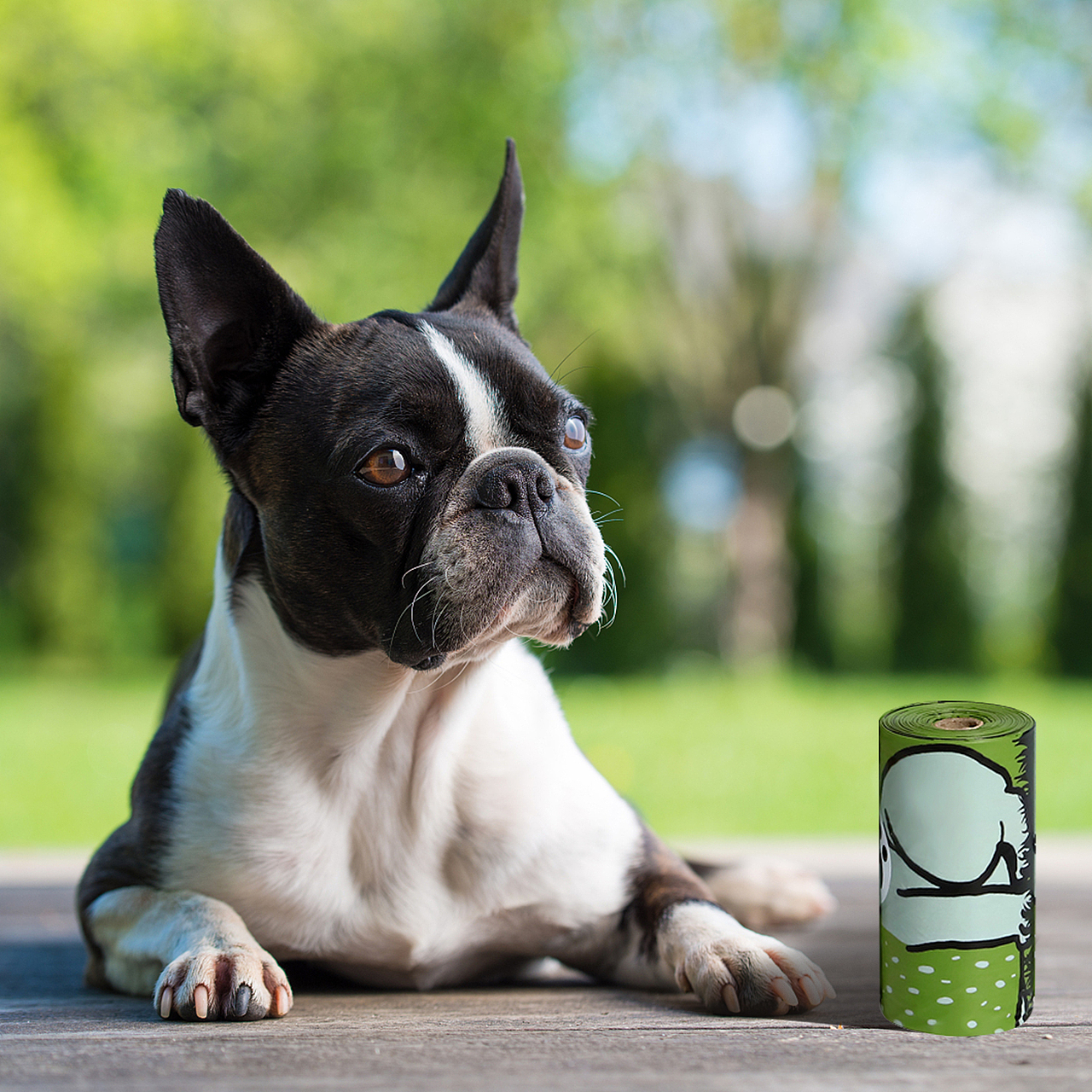 宠物便便收纳袋垃圾袋-亚马逊主图-A+