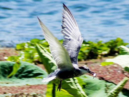 个人摄影作品(三)