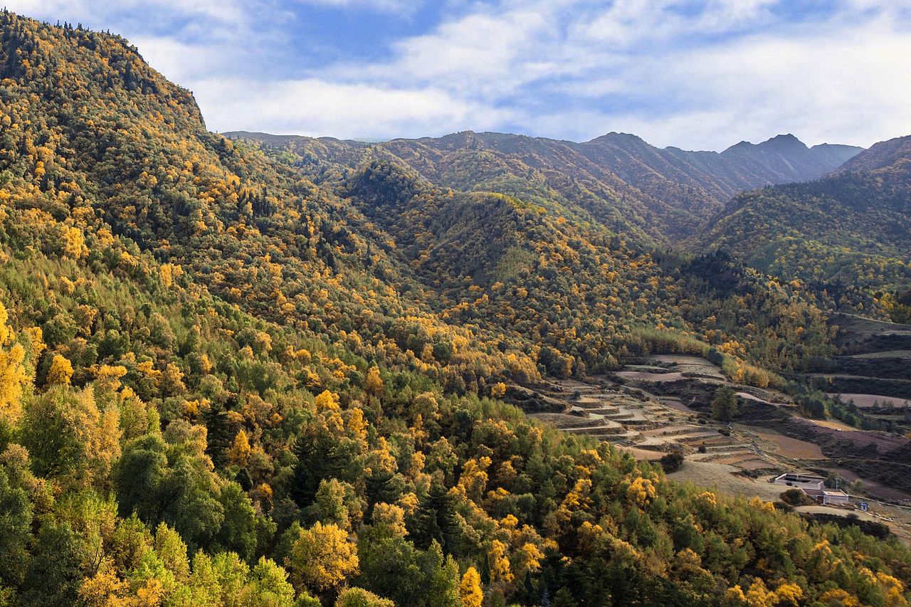 2022年的秋天-青海篇（图ZMzE3OTA3Mjgw） - 风光摄影 - 站酷设计师乌鸦的麦田原创素材 - 站酷ZCOOL