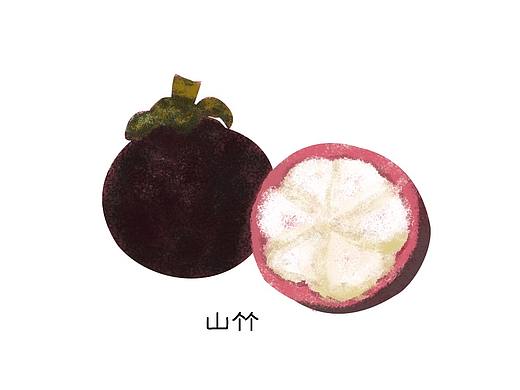 水果猕猴桃，山竹，樱桃，菠萝，甘蔗，草莓（个人主页-ZMjcxODY4NDg=） - 创作习作 - 站酷设计师婉如晨曦1020原创素材 - 站酷ZCOOL