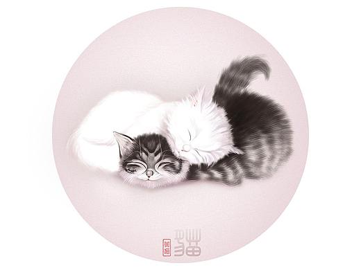 猫
