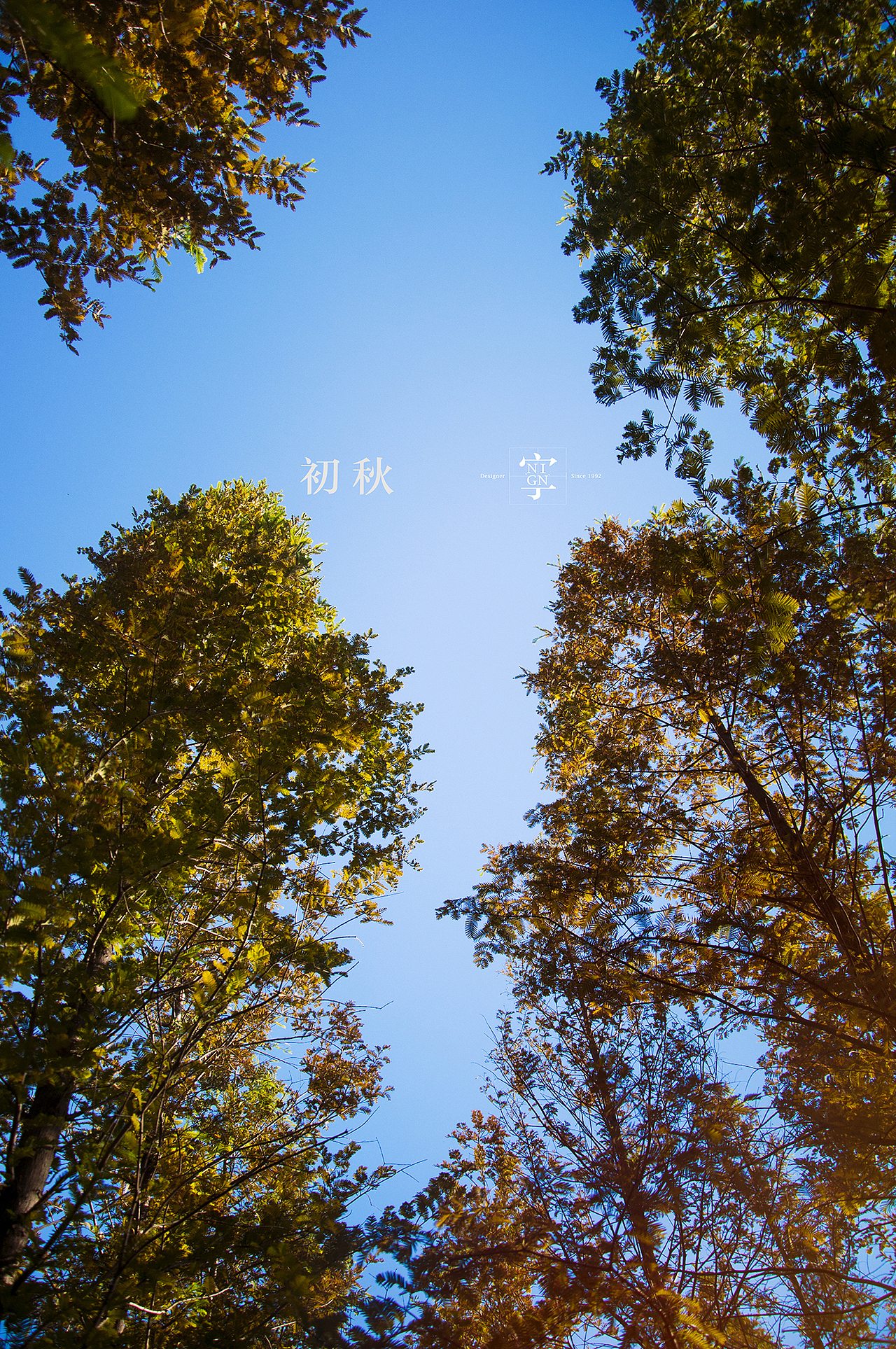 初秋/青岛/海大 -下-