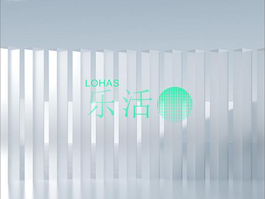 嘉乐门窗 | 朴术品牌策划 