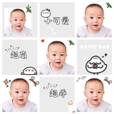 顽皮的猪小弟的头像