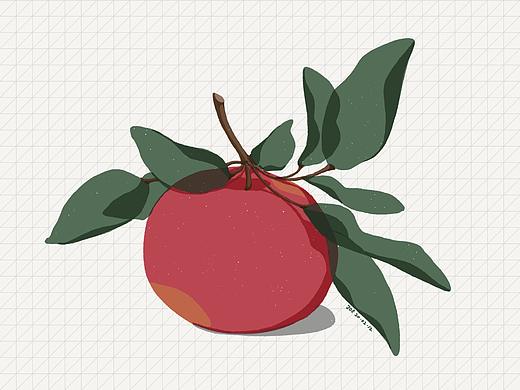 果蔬插画
