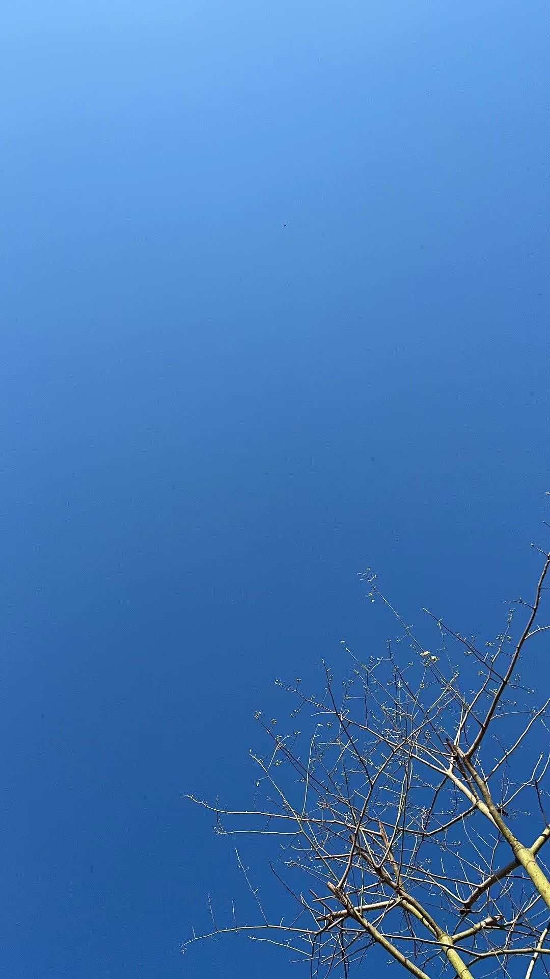 星空与蓝天（图ZMzIwNzAzMTQw） - 风光摄影 - 站酷设计师爱吃棉花糖的乔巴原创素材 - 站酷ZCOOL