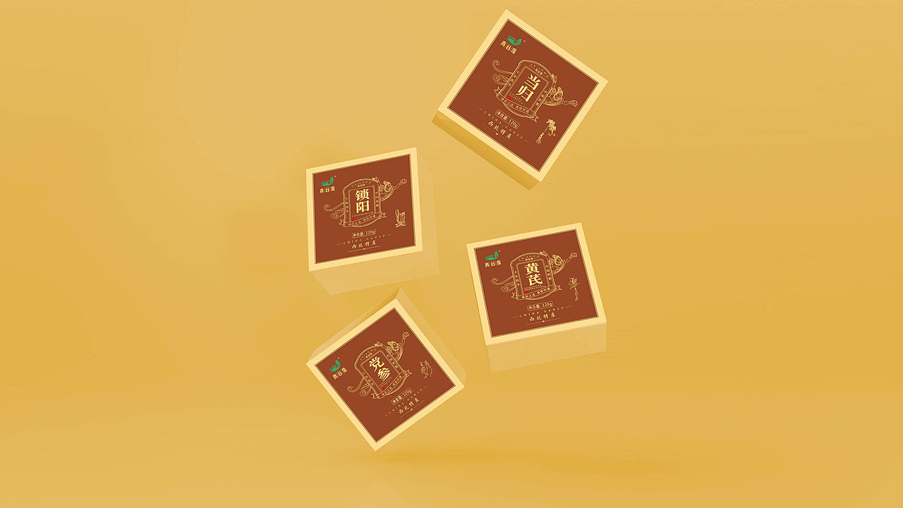 西北四宝 特产礼盒包装 甘肃特产（图ZMjM2MDEyMzY0） - 包装 - 站酷设计师夏echo原创素材 - 站酷ZCOOL