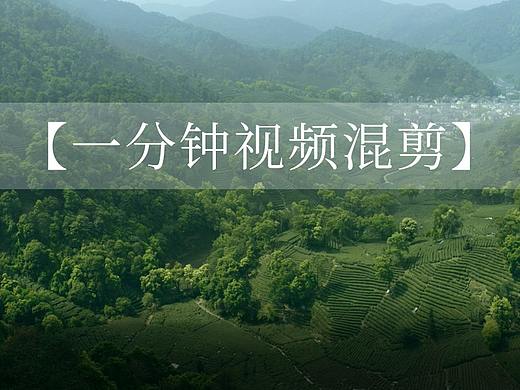 【卢正浩纪录片混剪】       