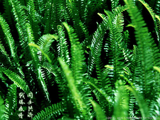 《疫情里的烟火》