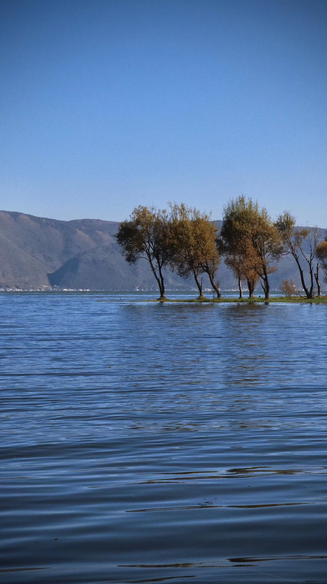 云南 洱海 漾濞|摄影|风光摄影|林4木 - 原创作品 - 站酷 (zcool)