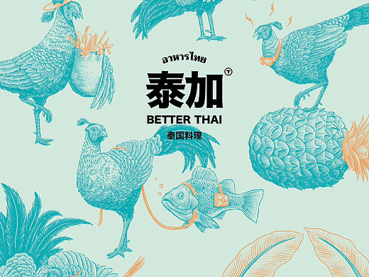 合作插画 |火背鹇