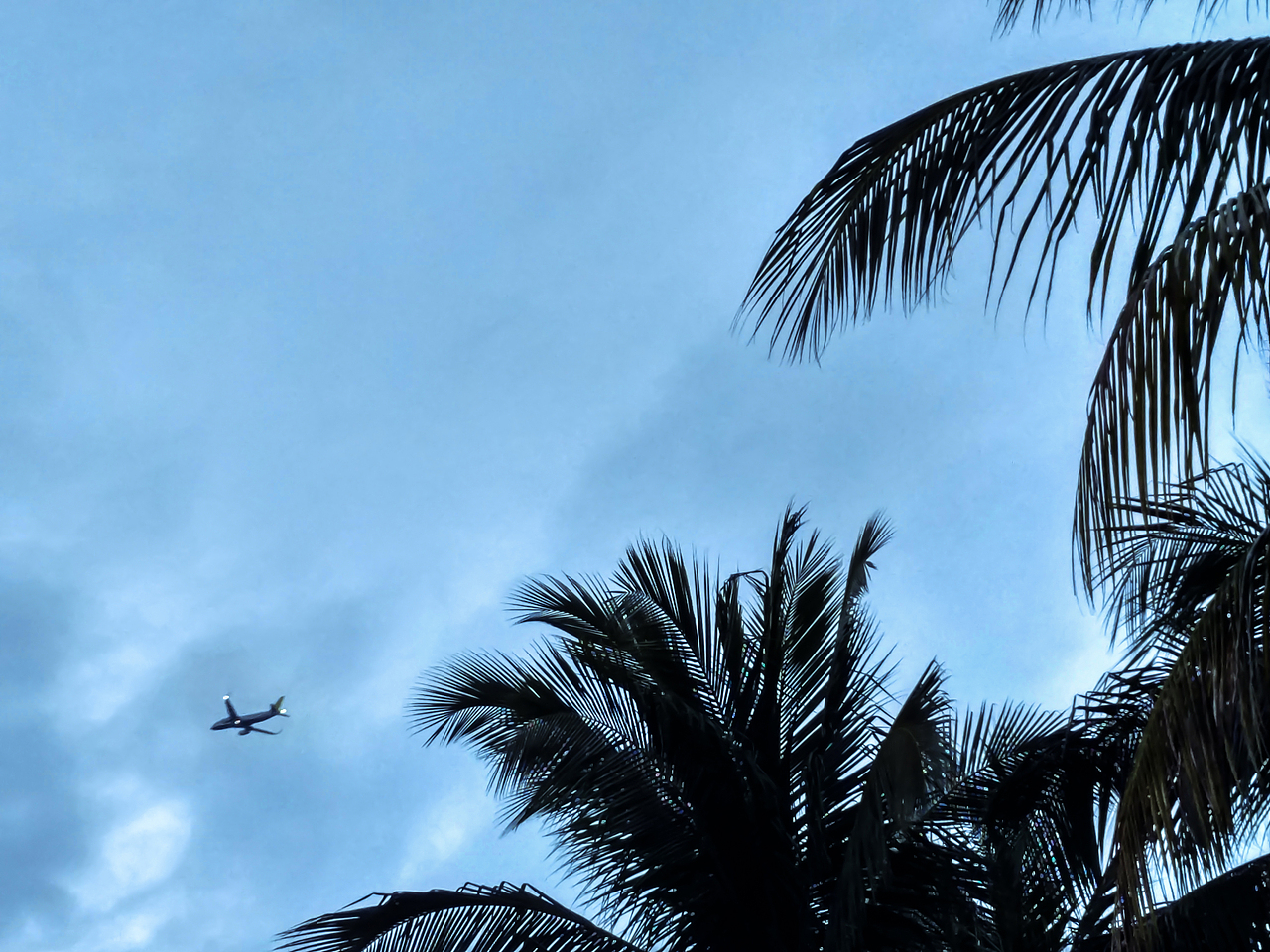 马来西亚 · 哥打基纳巴卢 Kota Kinabalu 摄影