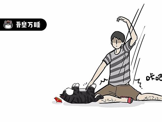 你这一辈子，有没有为撸猫拼过命...