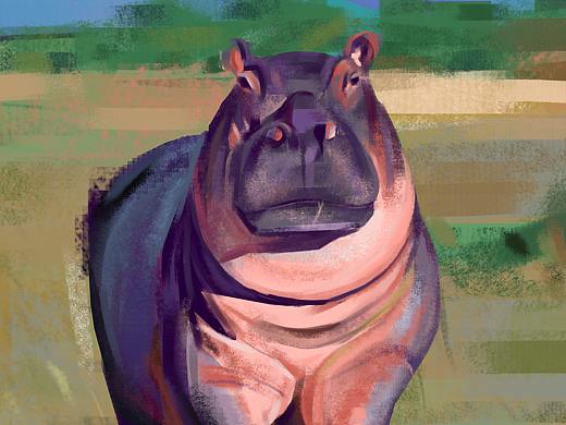 动物 速途 河马（个人主页-ZNTcyNDYwMzI=） - 艺术插画 - 站酷设计师妻DR原创素材 - 站酷ZCOOL